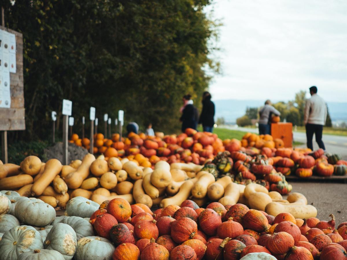 Weekly Roundup / Nov 19,&nbsp;2021