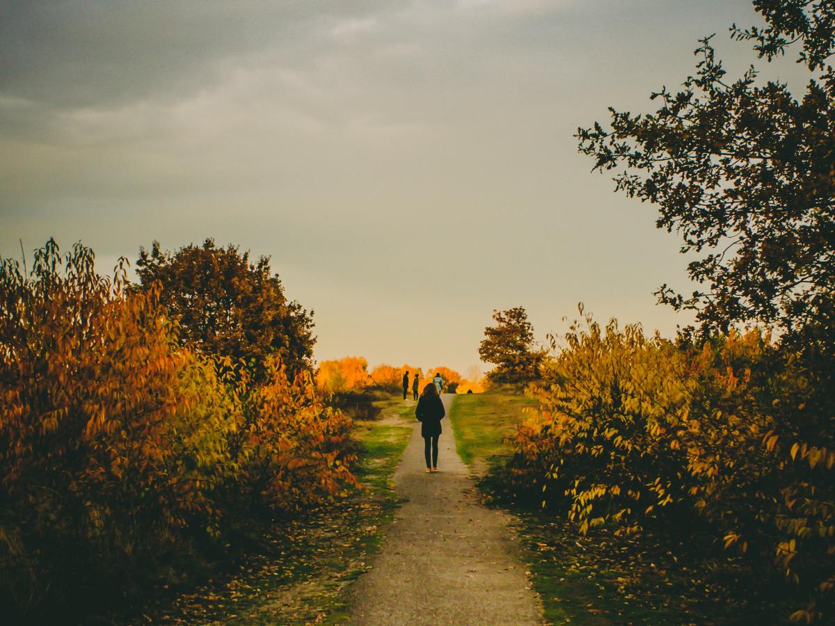 Weekly Roundup / Jan 28,&nbsp;2022