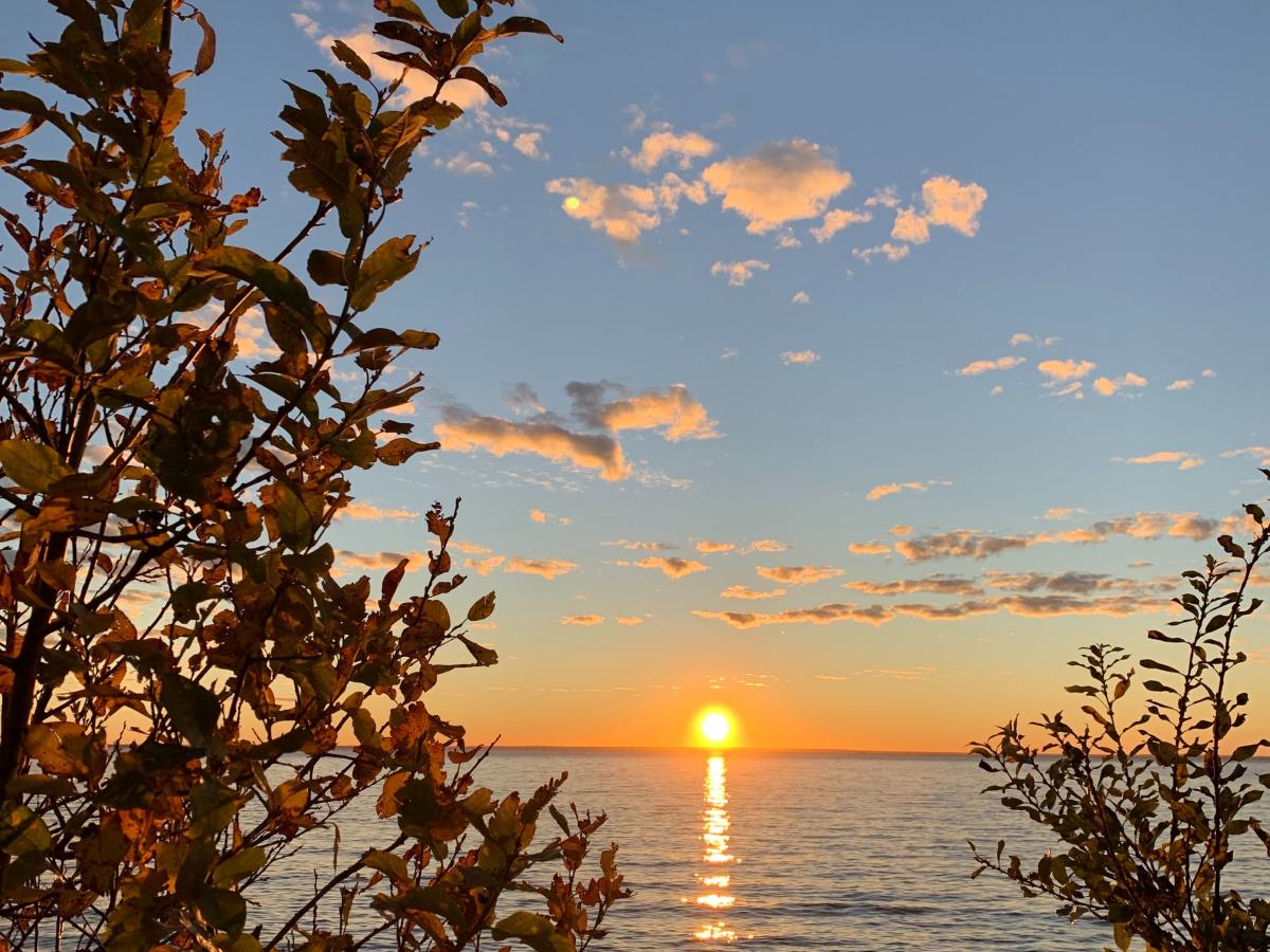 Weekly Roundup / Jan 14,&nbsp;2022